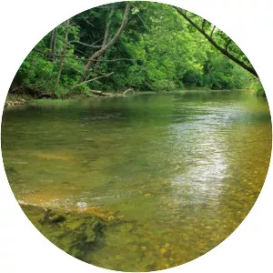Courtois Creek - Stream in Missouri