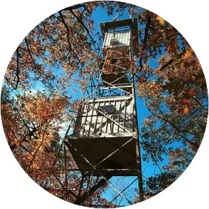 Cove Mountain - Appalachian Mountains