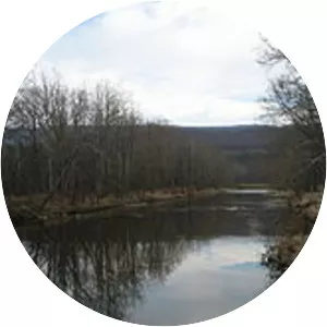 Cowpasture River - Tributary in Virginia