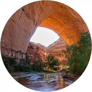 Coyote Gulch