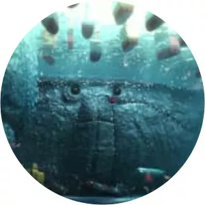 Crabe Phare - 2016 ‧ Short/Animation ‧ 6 mins