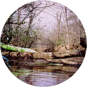 Crabtree Creek photograph