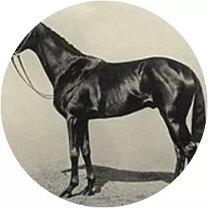 Craig an Eran photograph