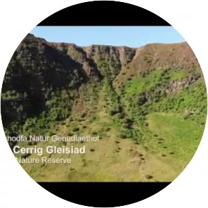 Craig Cerrig-gleisiad - Summit in Wales