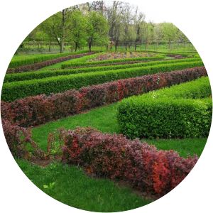 Craiova Botanical Garden