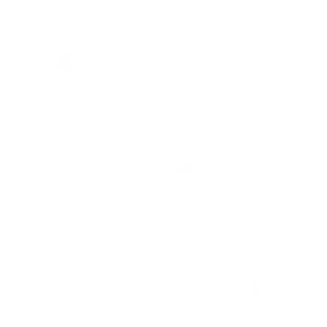 Craneballs Studio - Video game developer