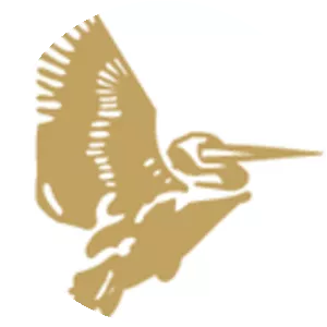 Cranes Software - Software company