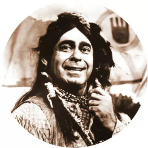 Crazy Cat photograph