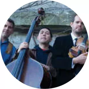 Creaking Tree String Quartet