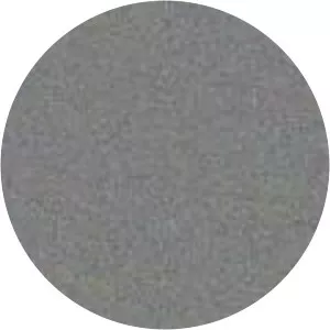 Create Your Own Animal Stories