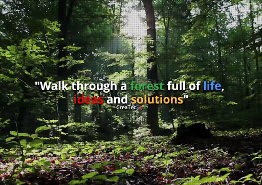 CreaTecSoft - Telecommunications service provider in Aguascalientes, Mexico