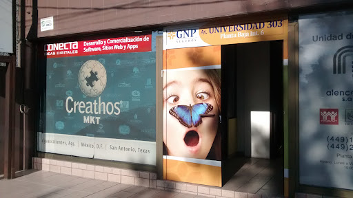 Creathos Mercadotecnia - Advertising agency in Aguascalientes, Mexico