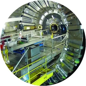 Creatures of the Deep