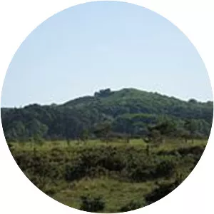 Creech Barrow Hill - 