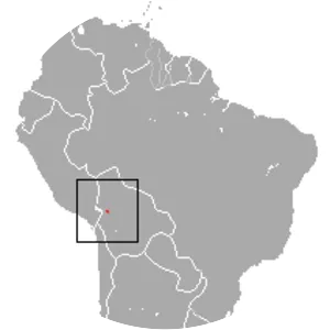 Creighton's slender opossum