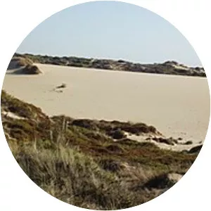 Cresmina Dune - Park