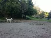 Crestwood Hills Park - 