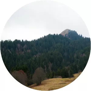 Crêt de Chalam - Mountain in France