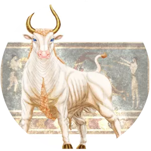 Cretan Bull photograph