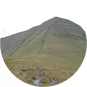 Cribyn