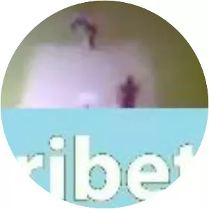 Cricket T20 Fever 3D