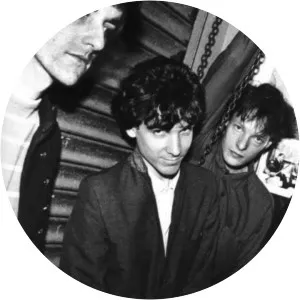 Crime and the City Solution - Rock band