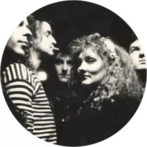 Crime & the City Solution