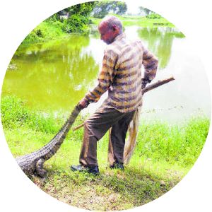 Crocodile Breeding Centre, Kurukshetra