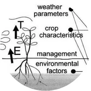 Crop water requirements