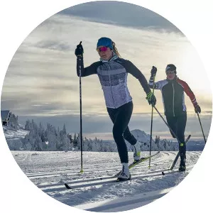 Cross-country skiing - Sport