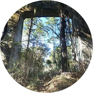 Cross Florida Barge Canal - 