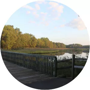 Cross Island Trail - 