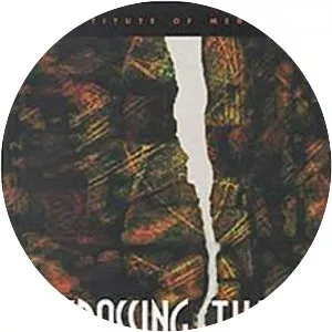 Crossing the Quality Chasm