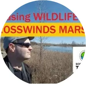 Crosswinds Marsh