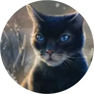 Crowfeather - Fictional character