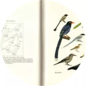 Crows of the world - Book by Derek Goodwin