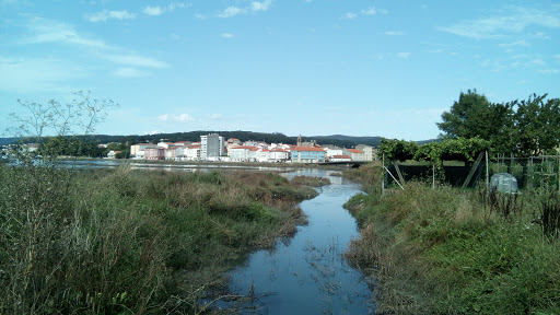 Cruz Roja - Cruz Vermella Noia