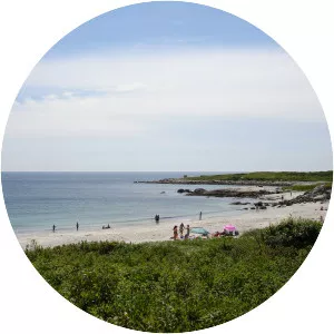 Crystal Crescent Beach Road - 