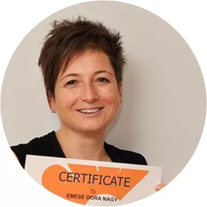 Csaba Hámori - Politician