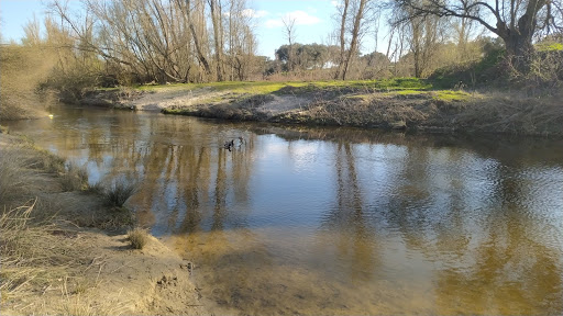 Ctra.M605-Puente - Bus stop in Spain