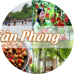 cu lao tan phong