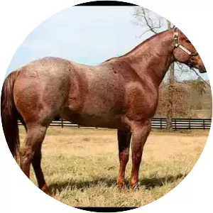 Cuarto de Milla - Musical artist