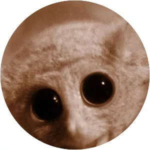 Cuentos de tarseros - TV program