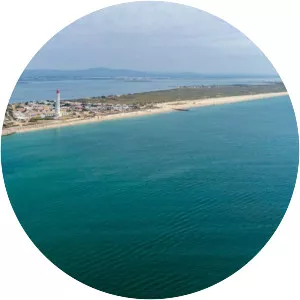 Culatra Island - Island in Faro, Portugal