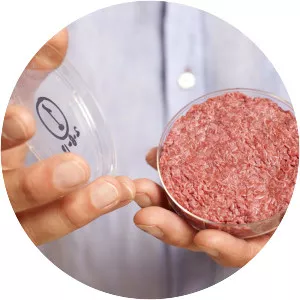 Cultured meat photograph