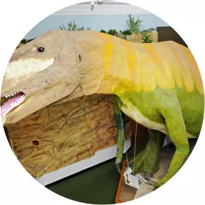 Cumberland House Natural History Museum