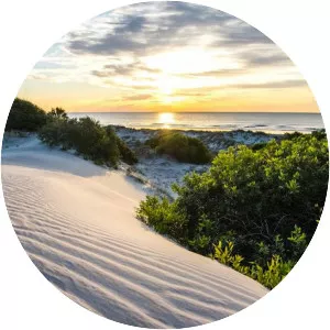 Cumberland Island - Island in Georgia