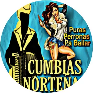 Cumbias Nortenas - Musical artist