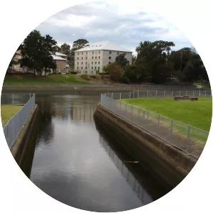 Cup and Saucer Creek