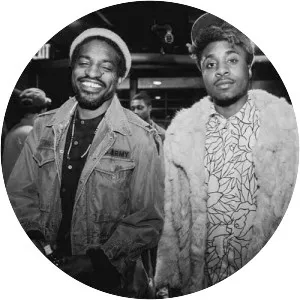 Cure for Paranoia - Musical group